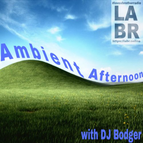 Ambient Afternoon w/ DJ Bodger